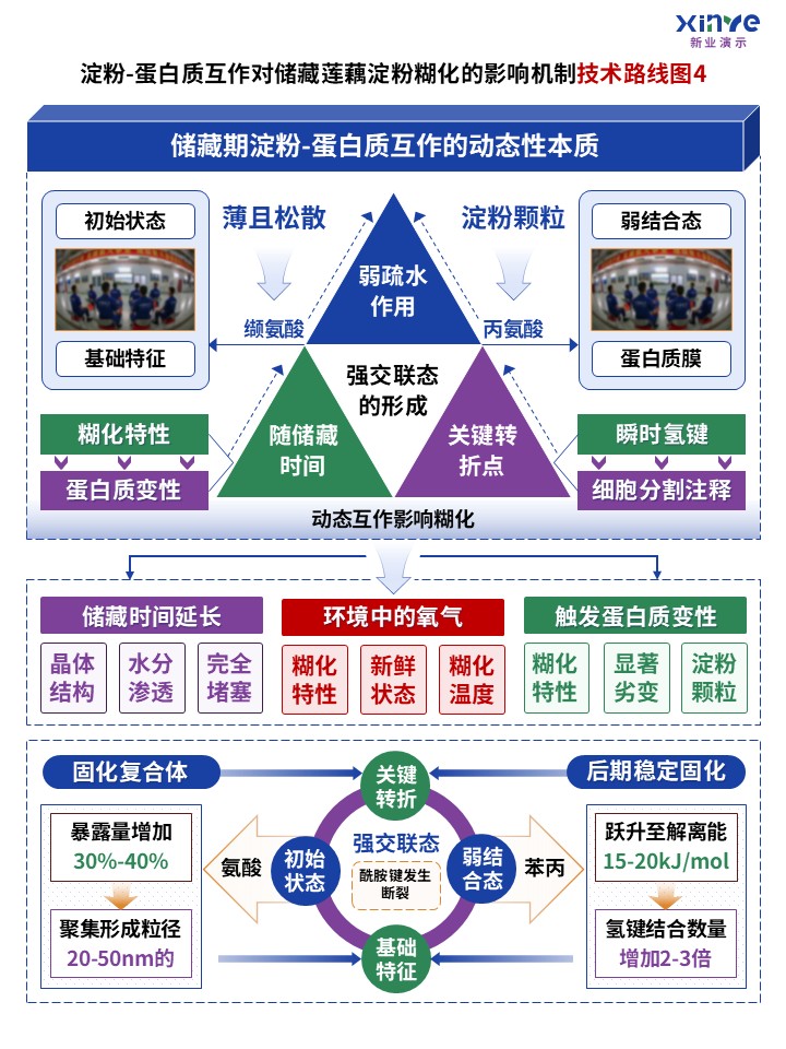 63-2技术路线图（蛋白质互作-蓝绿紫）第4页预览图