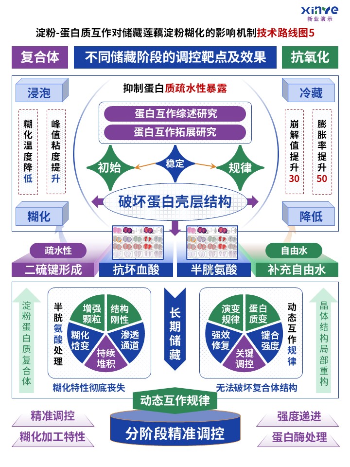 63-2技术路线图（蛋白质互作-蓝绿紫）第5页预览图