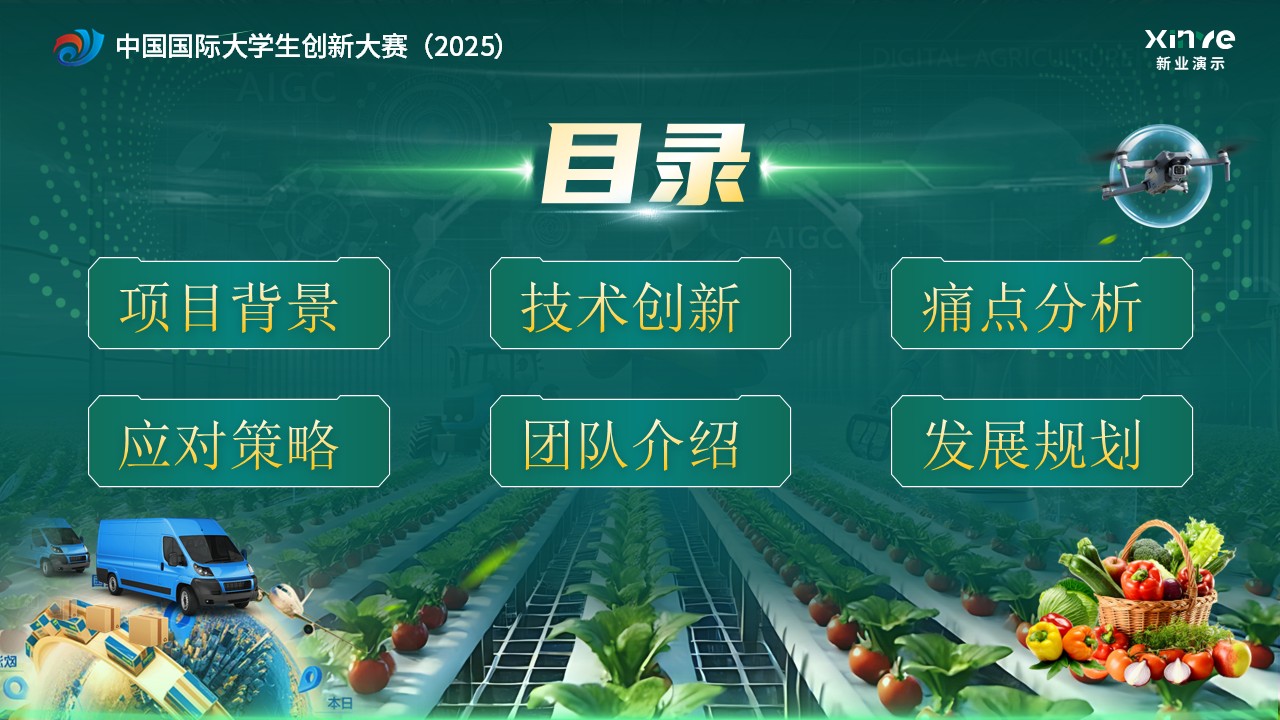 《跨季鲜通》大创赛第2页预览图