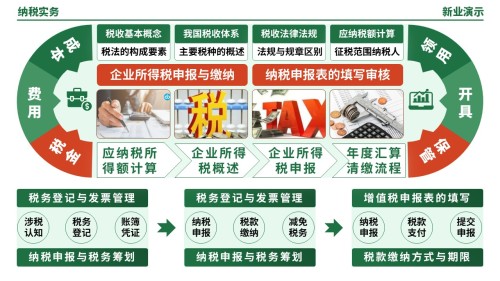 55-2《纳税实务架构图》(绿色)