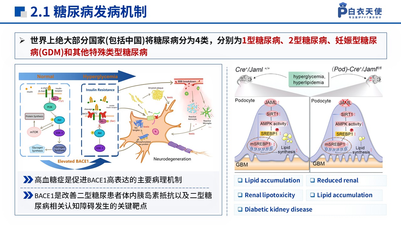 129期-湖南省自然科学基金(糖尿病药物研究)第7页预览