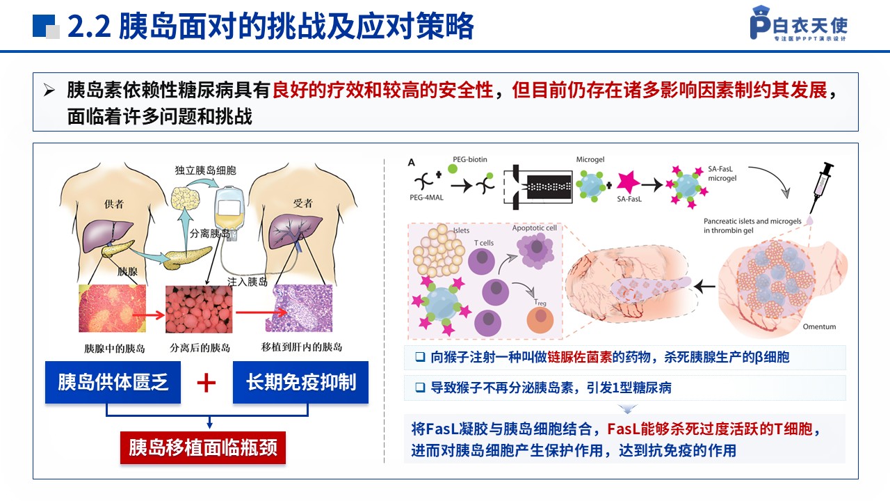 129期-湖南省自然科学基金(糖尿病药物研究)第8页预览