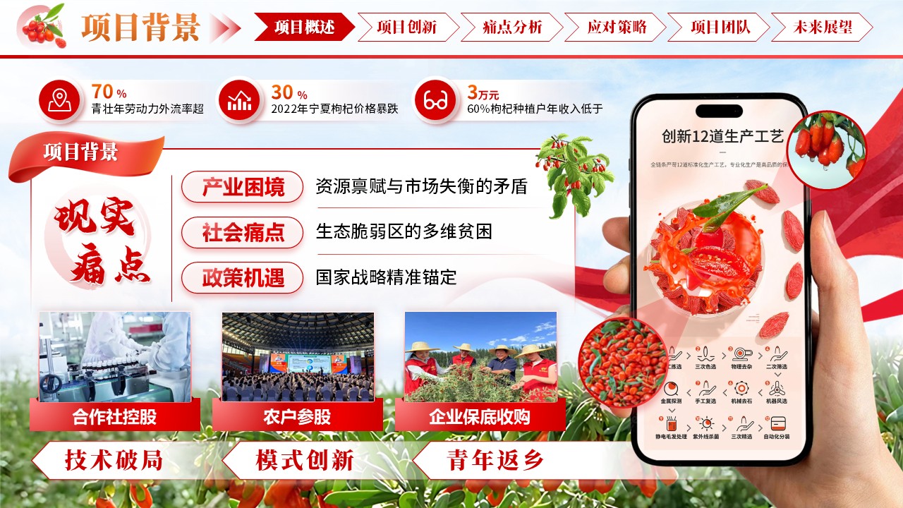 《杞程似锦》大创赛第3页预览图