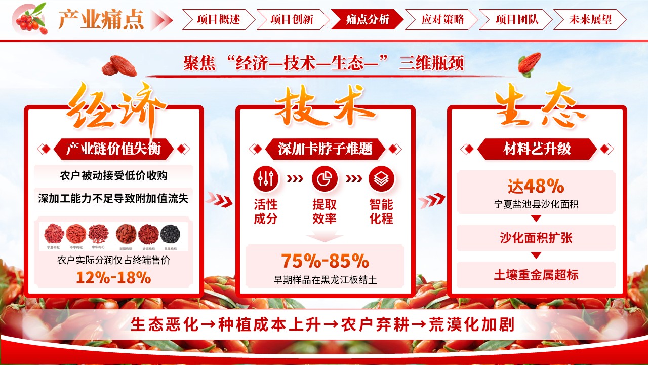 《杞程似锦》大创赛第7页预览图