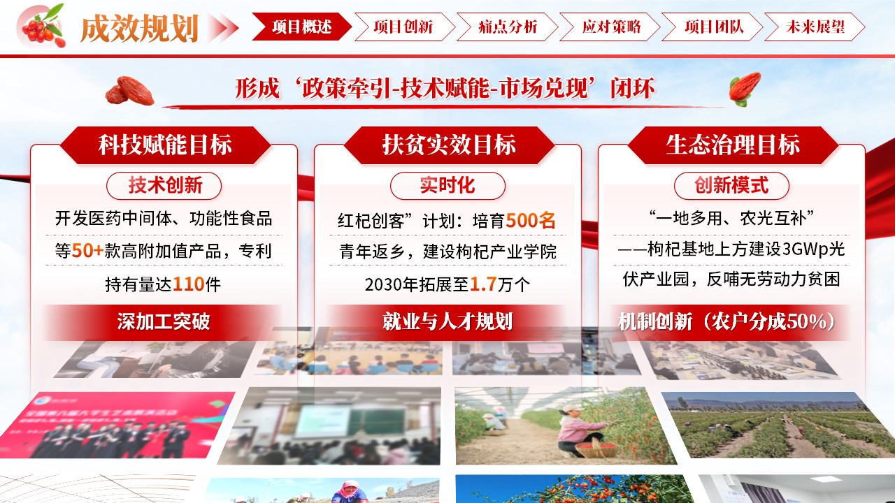 《杞程似锦》大创赛第12页预览图