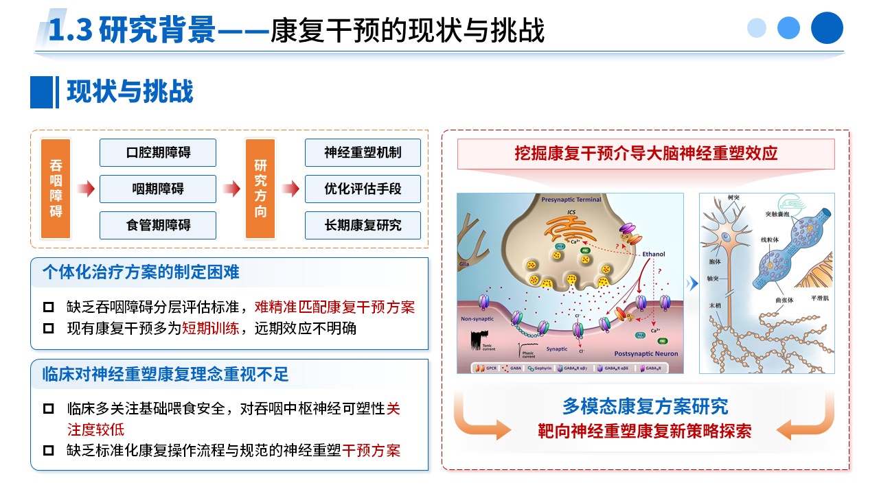 477期-申报答辩-脑卒中吞咽障碍神经重塑及康复干预效应研究第5页预览