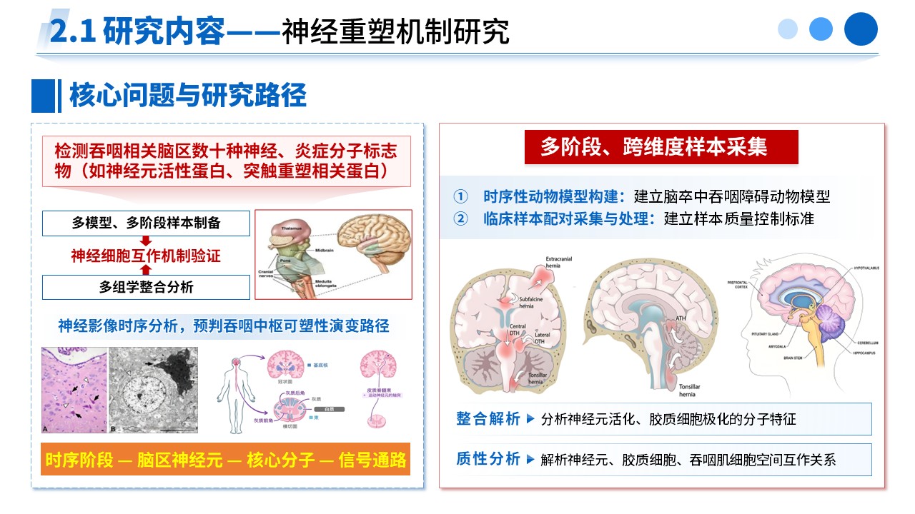 477期-申报答辩-脑卒中吞咽障碍神经重塑及康复干预效应研究第8页预览