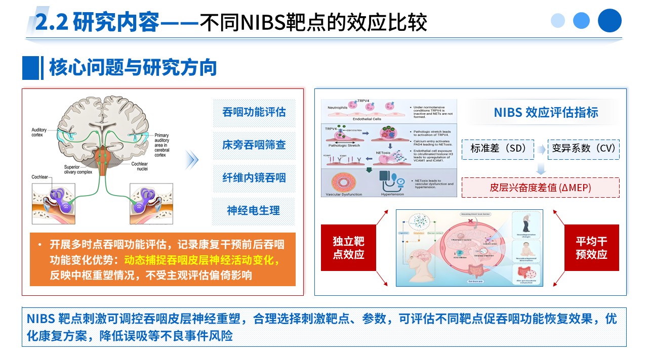 477期-申报答辩-脑卒中吞咽障碍神经重塑及康复干预效应研究第9页预览