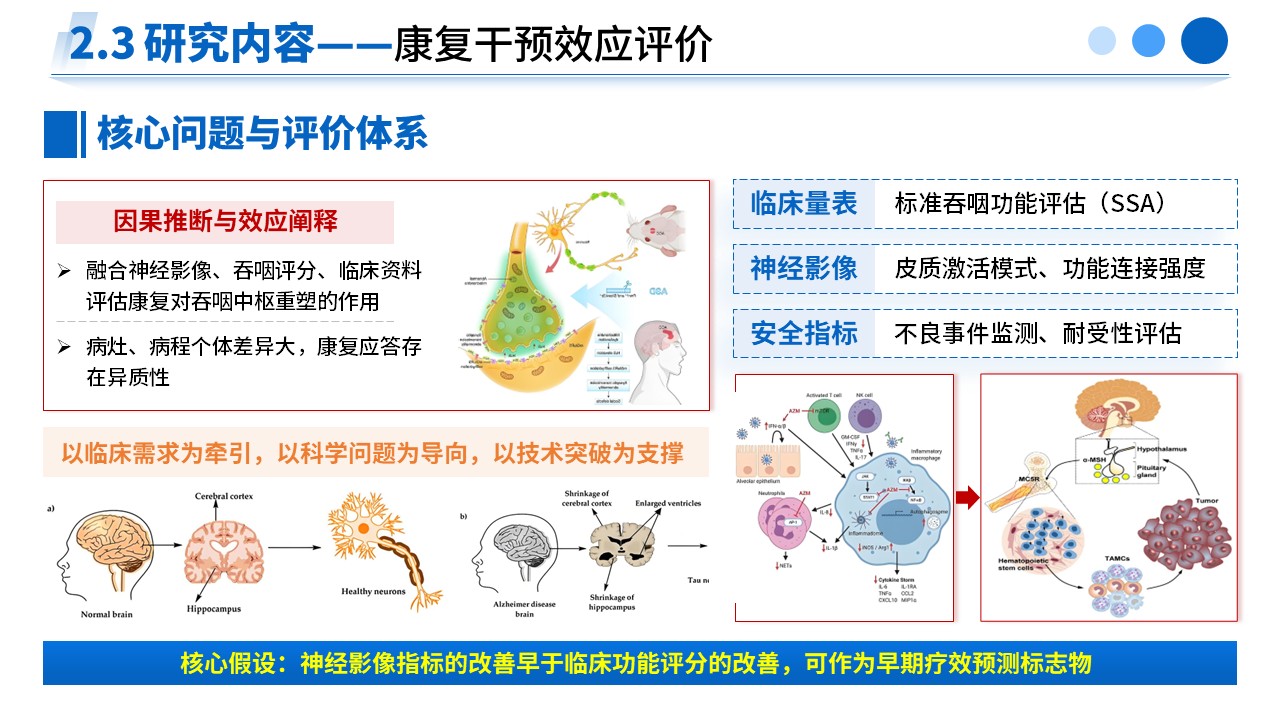 477期-申报答辩-脑卒中吞咽障碍神经重塑及康复干预效应研究第10页预览