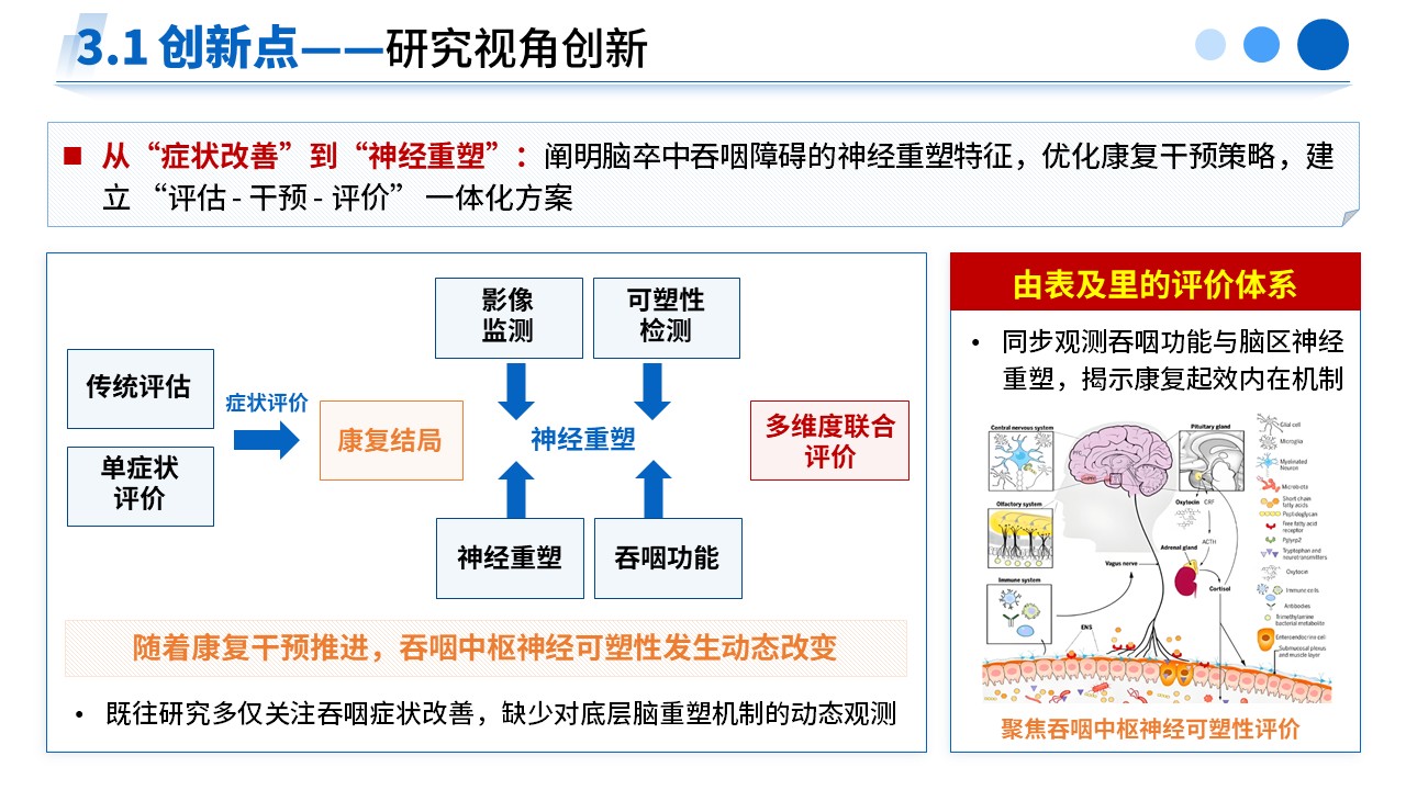 477期-申报答辩-脑卒中吞咽障碍神经重塑及康复干预效应研究第12页预览