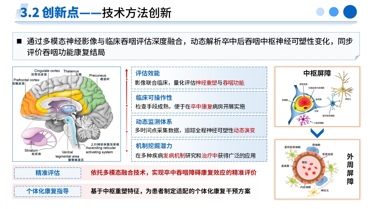 477期-申报答辩-脑卒中吞咽障碍神经重塑及康复干预效应研究第13页预览