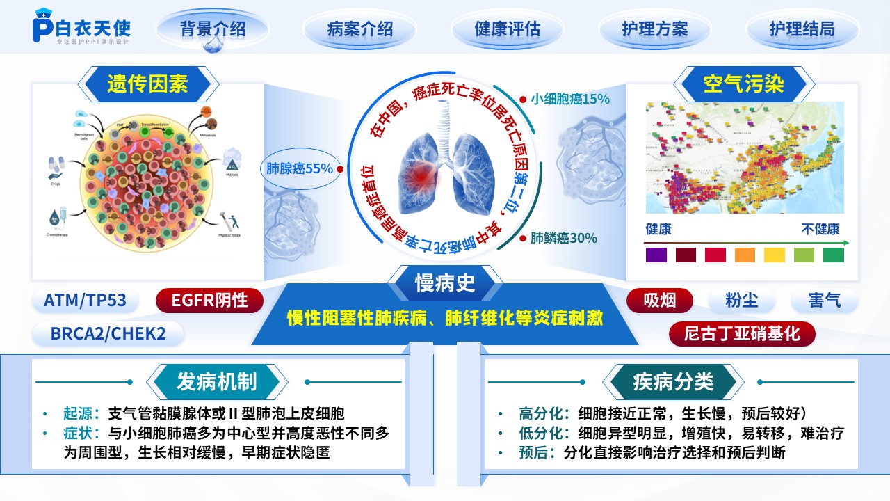 216期-个案护理第3页预览
