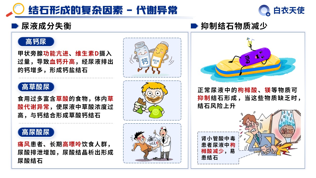 31-泌尿道结石健康宣教第4页预览