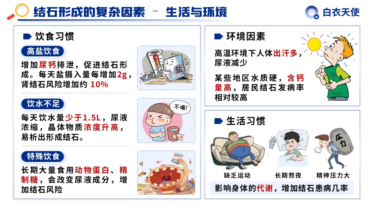 31-泌尿道结石健康宣教第6页预览