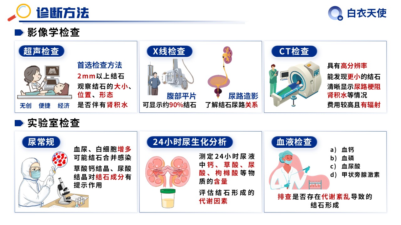 31-泌尿道结石健康宣教第10页预览