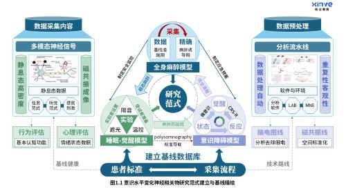 27-1科研架构图(意识水平变化神经研究-蓝绿紫)