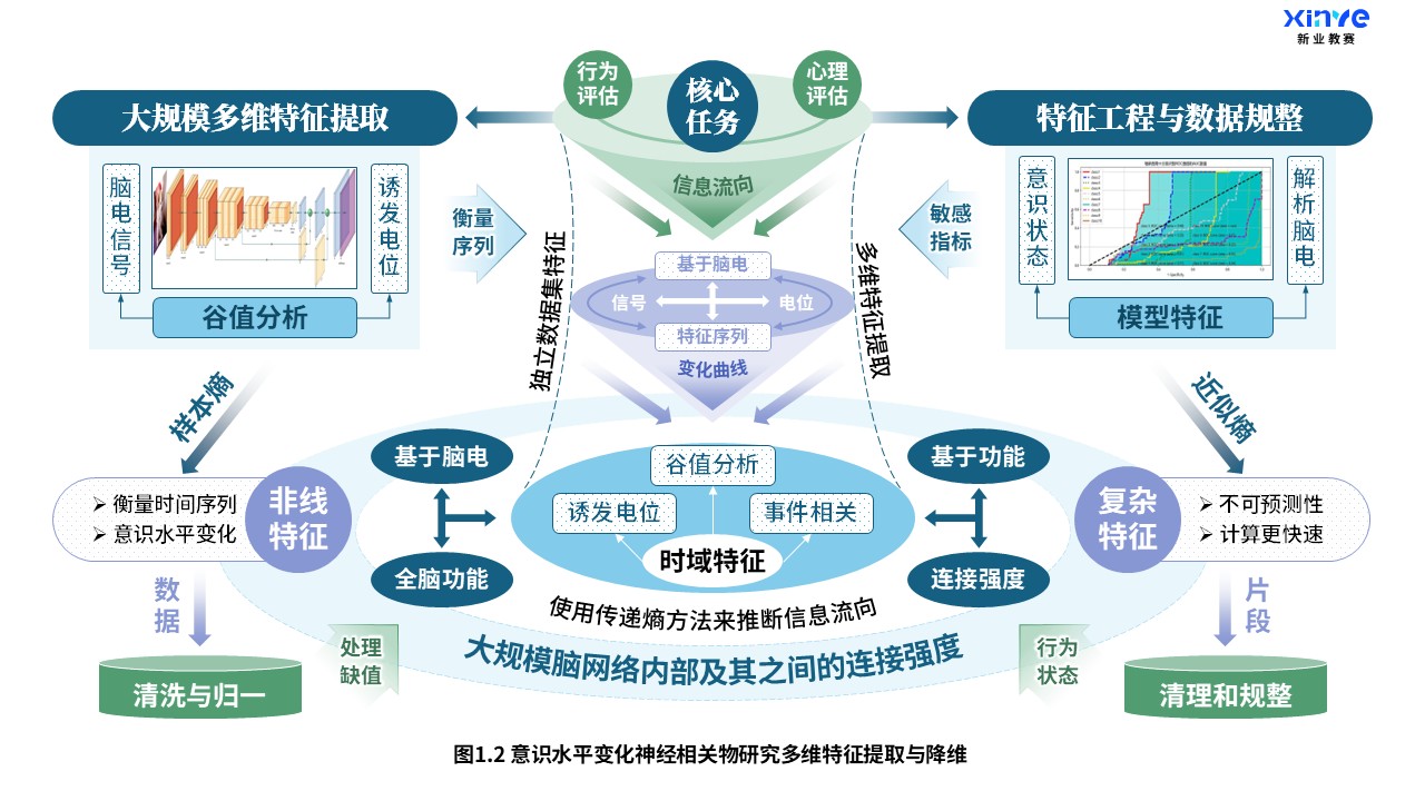 27-1科研架构图（意识水平变化神经研究-蓝绿紫）第2页预览图