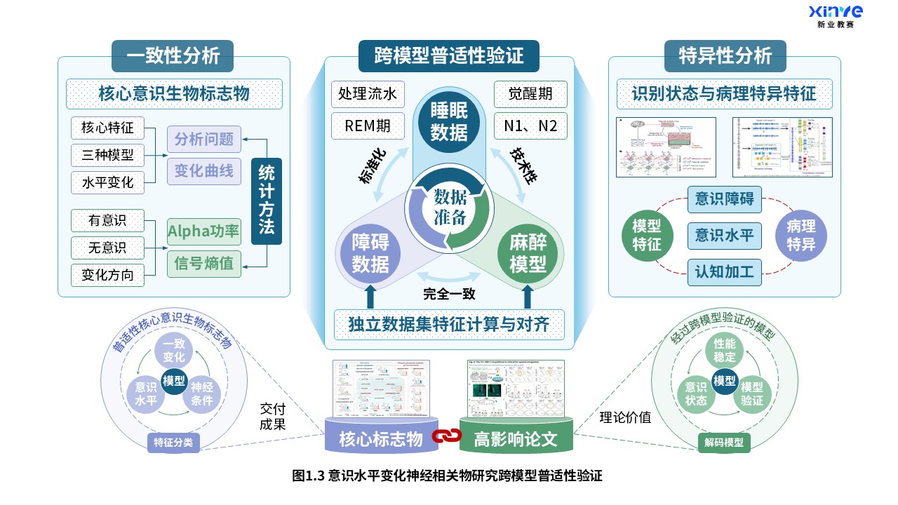 27-1科研架构图（意识水平变化神经研究-蓝绿紫）第3页预览图