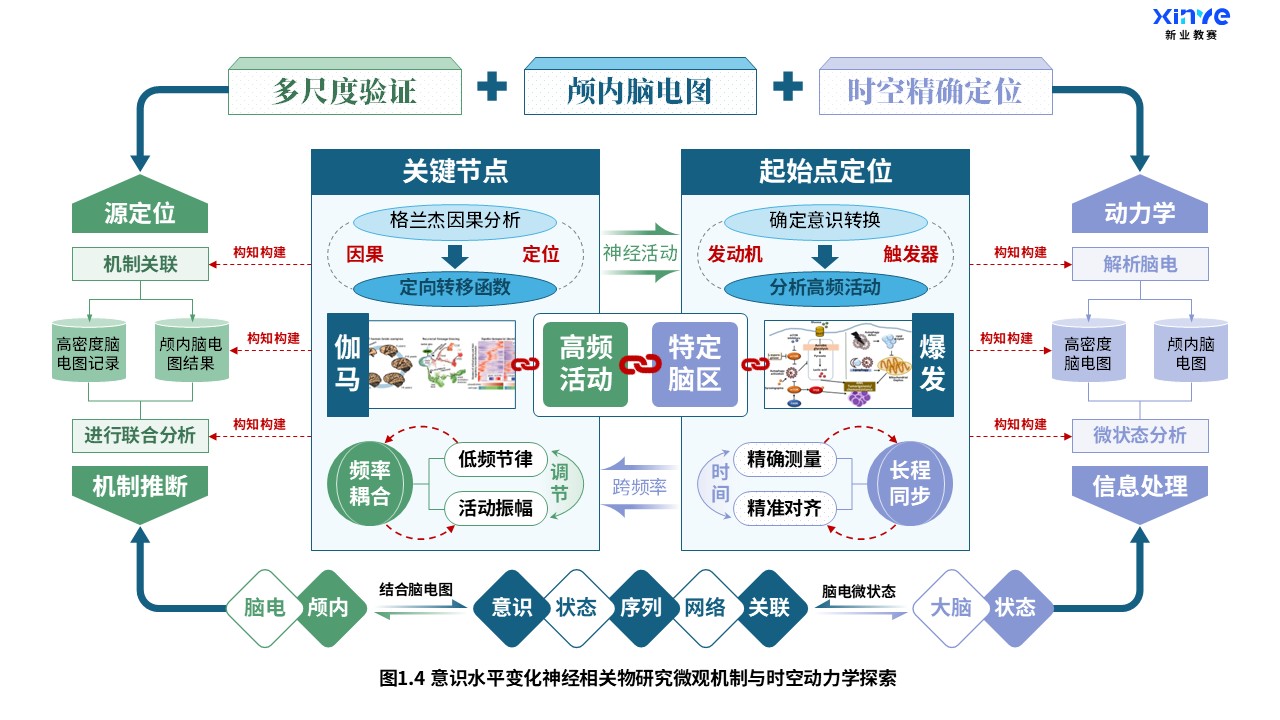 27-1科研架构图（意识水平变化神经研究-蓝绿紫）第4页预览图