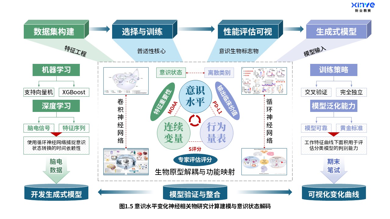 27-1科研架构图（意识水平变化神经研究-蓝绿紫）第5页预览图