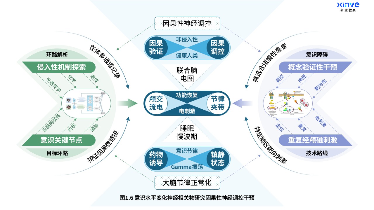 27-1科研架构图（意识水平变化神经研究-蓝绿紫）第6页预览图