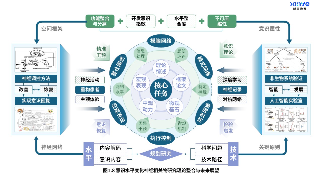 27-1科研架构图（意识水平变化神经研究-蓝绿紫）第8页预览图