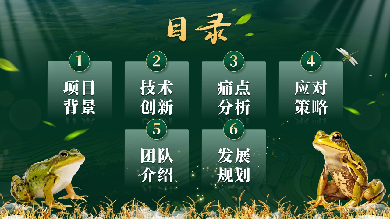《蛙鸣稻香》大创赛第2页预览图