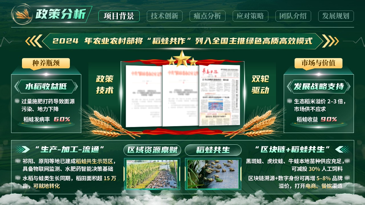 《蛙鸣稻香》大创赛第3页预览图