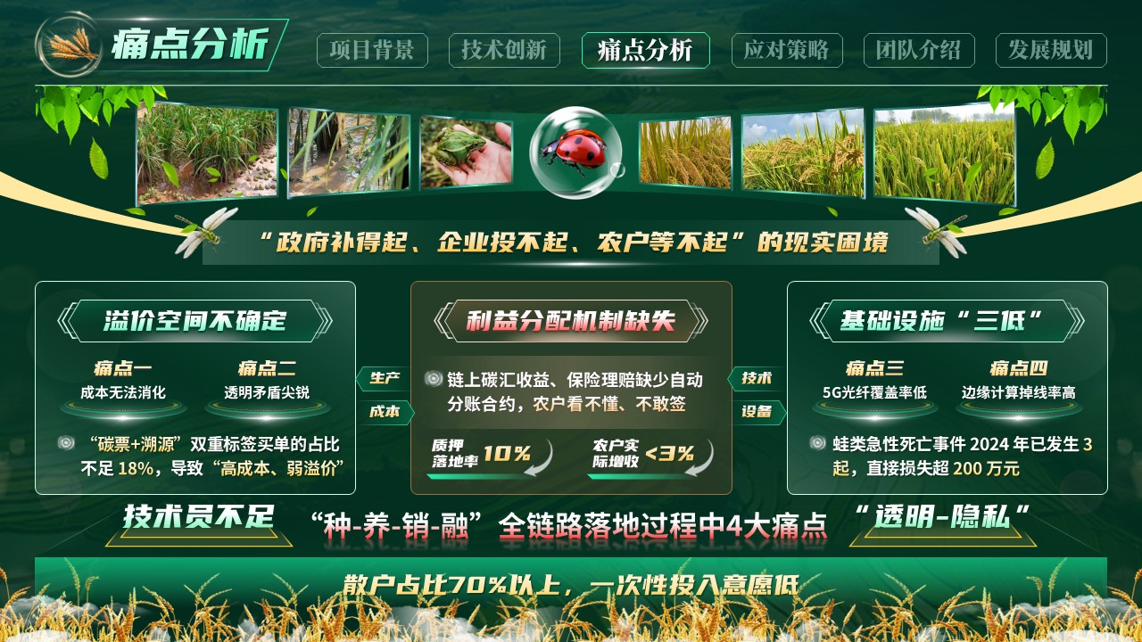 《蛙鸣稻香》大创赛第6页预览图