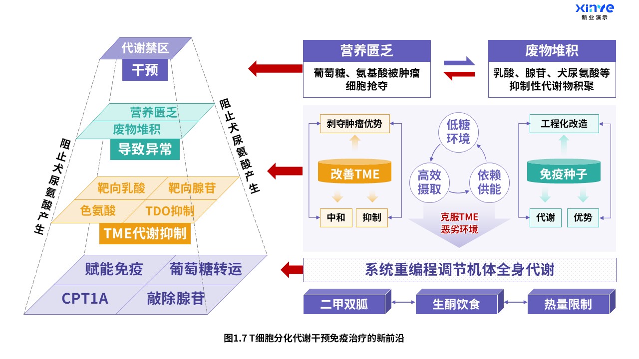 24-1科研架构图（T细胞分化-紫绿橙）第7页预览图
