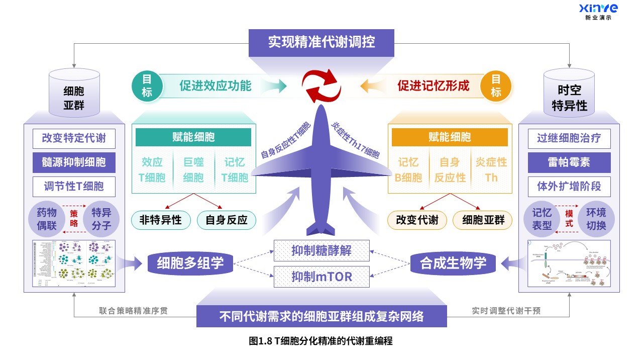 24-1科研架构图（T细胞分化-紫绿橙）第8页预览图