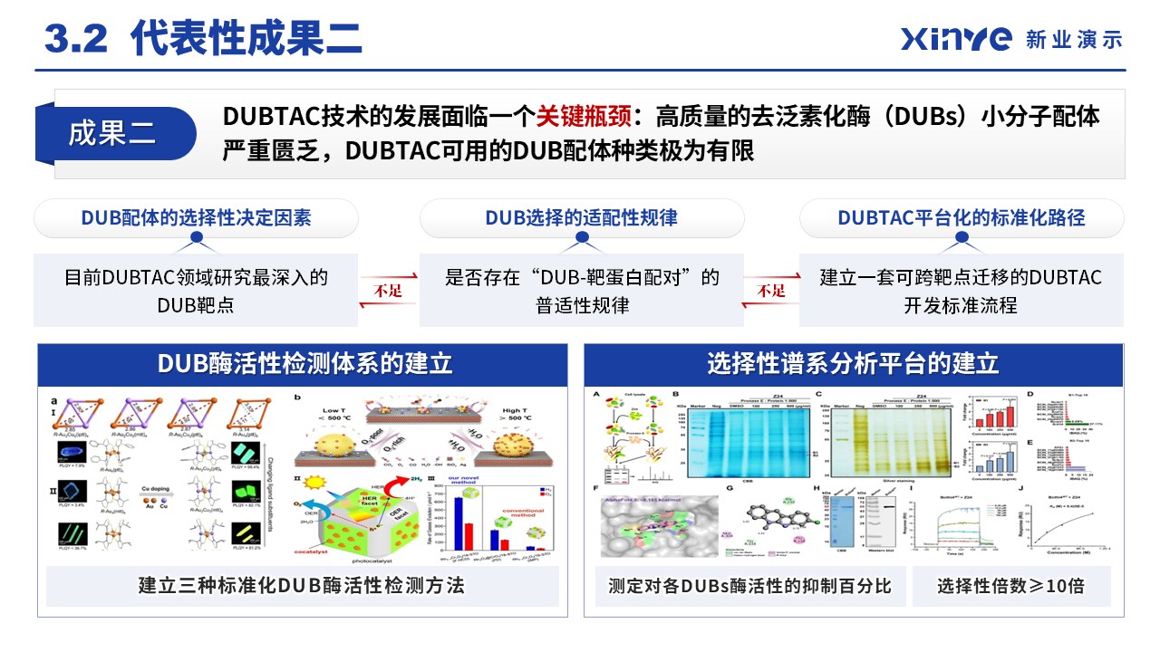 副主任药师职称答辩（靶向蛋白稳定技术-蓝色）第11页预览图