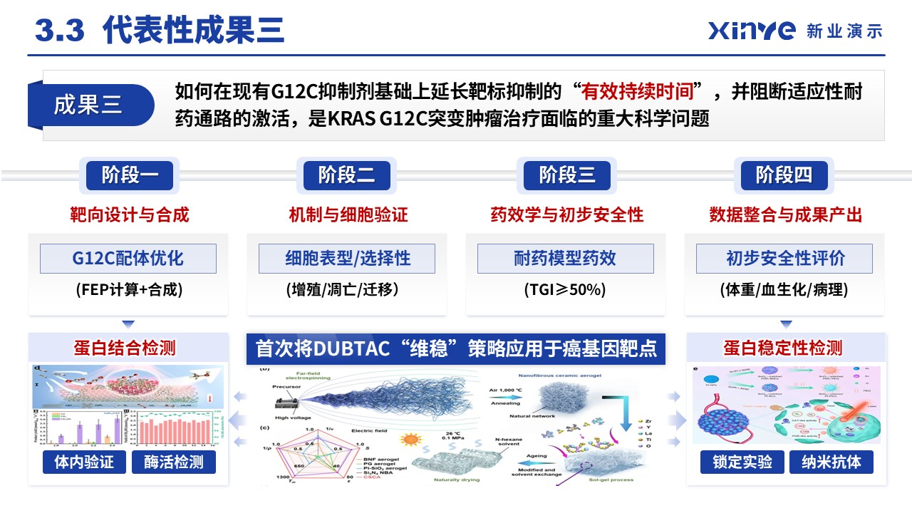 副主任药师职称答辩（靶向蛋白稳定技术-蓝色）第12页预览图