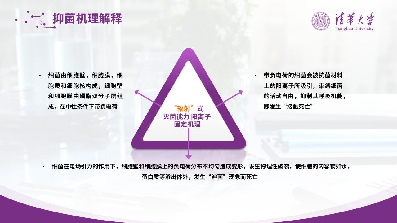 89-医疗工程重大科技研究成果第12页预览