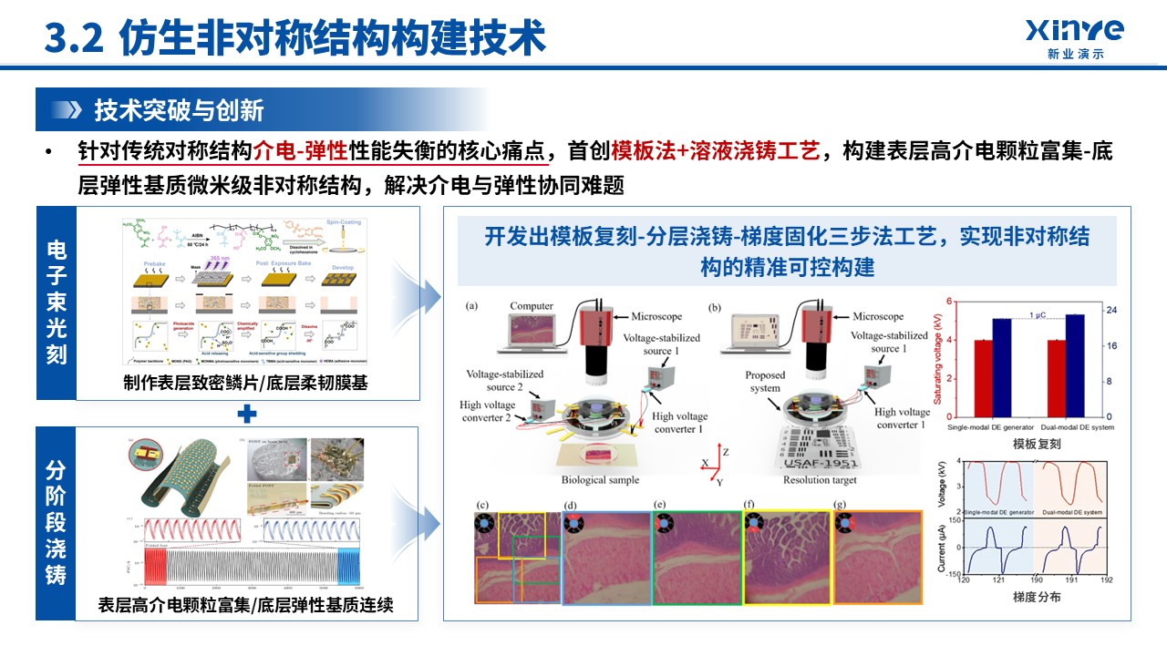副教授职级评选(非对称介电弹性体-蓝色)第11页预览图