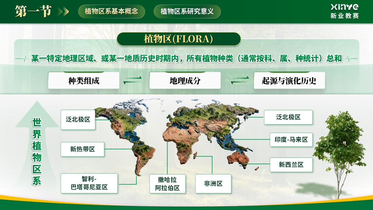 《植被分异密码》青教赛第4页预览图