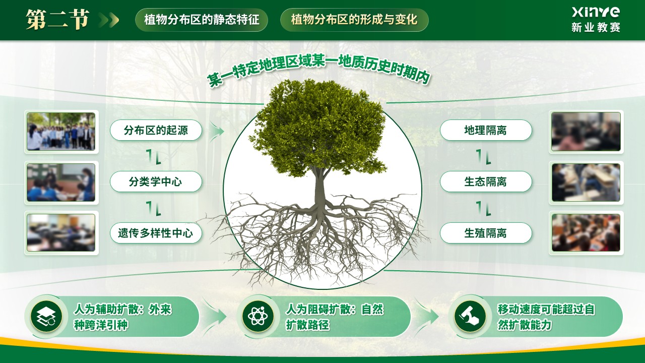 《植被分异密码》青教赛第7页预览图