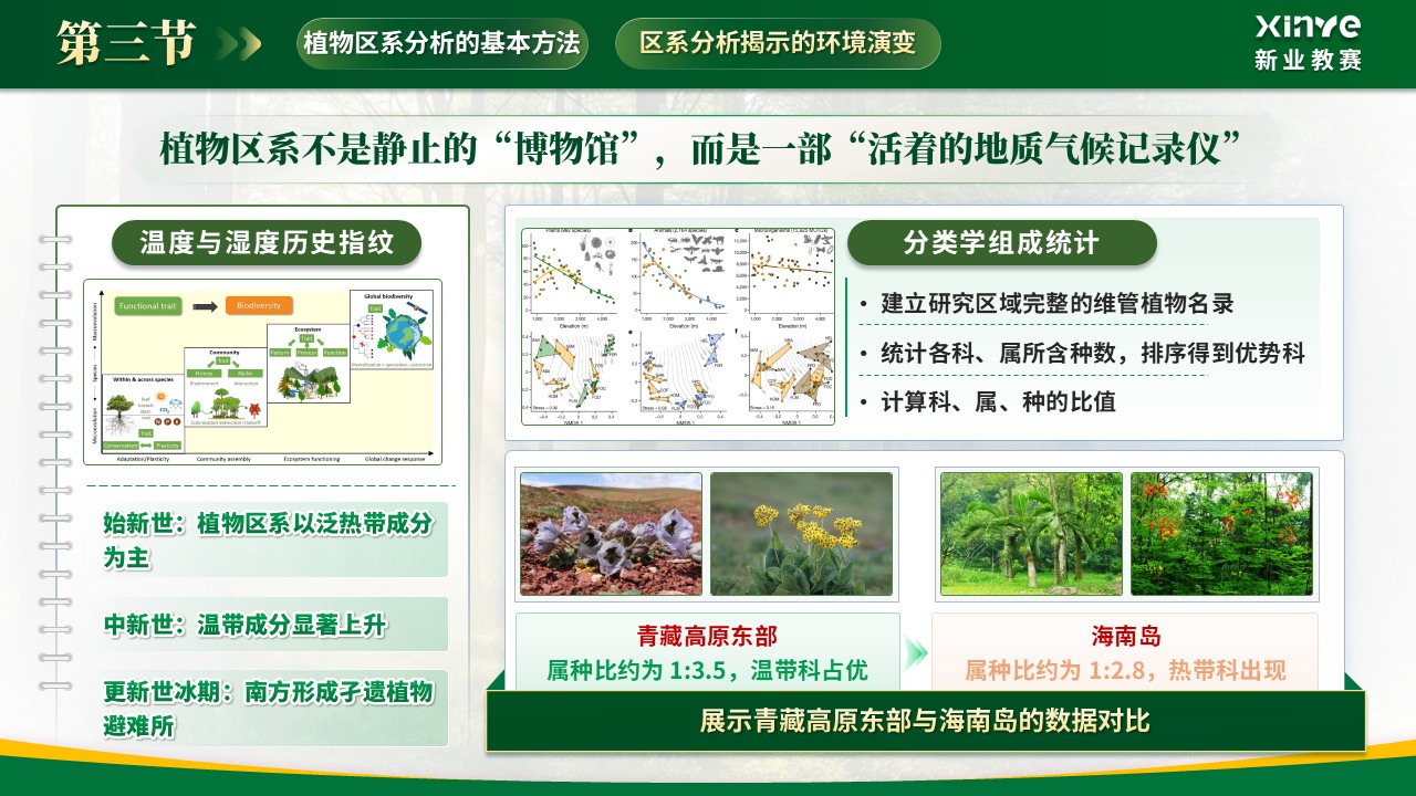 《植被分异密码》青教赛第9页预览图
