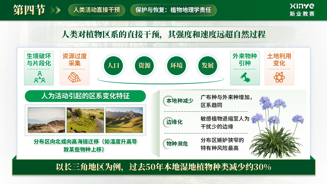 《植被分异密码》青教赛第10页预览图