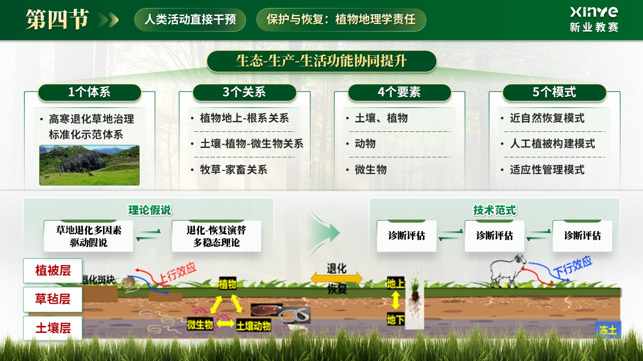 《植被分异密码》青教赛第11页预览图