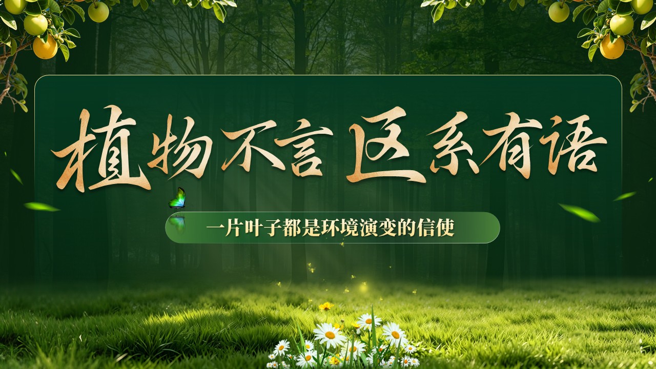 《植被分异密码》青教赛第12页预览图