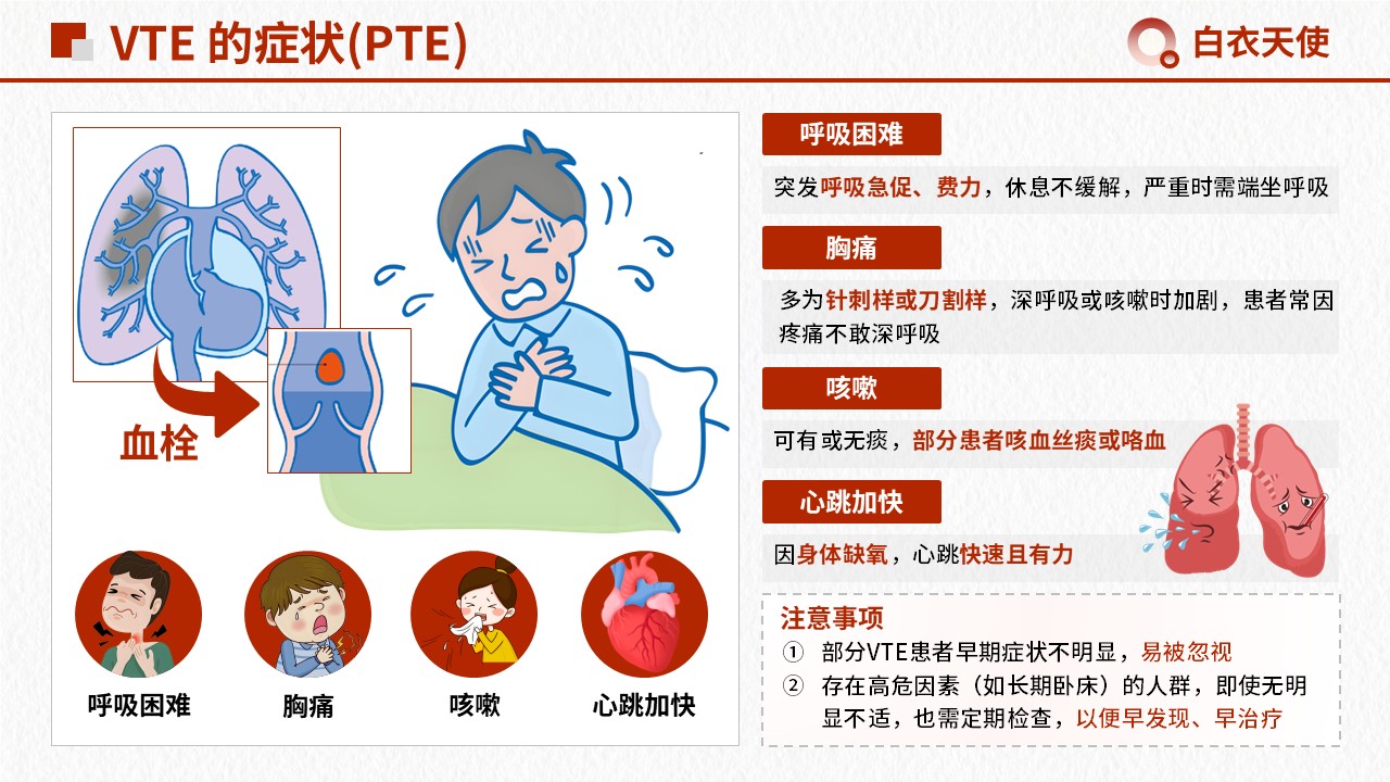 15-警惕 VTE健康宣教第7页预览