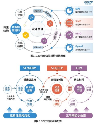 32-1科研架构图(基于3D打印的仿生结构轻量化设计-蓝橙紫)