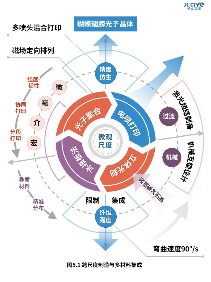 32-1科研架构图（基于3D打印的仿生结构轻量化设计-蓝橙紫）第3页预览图