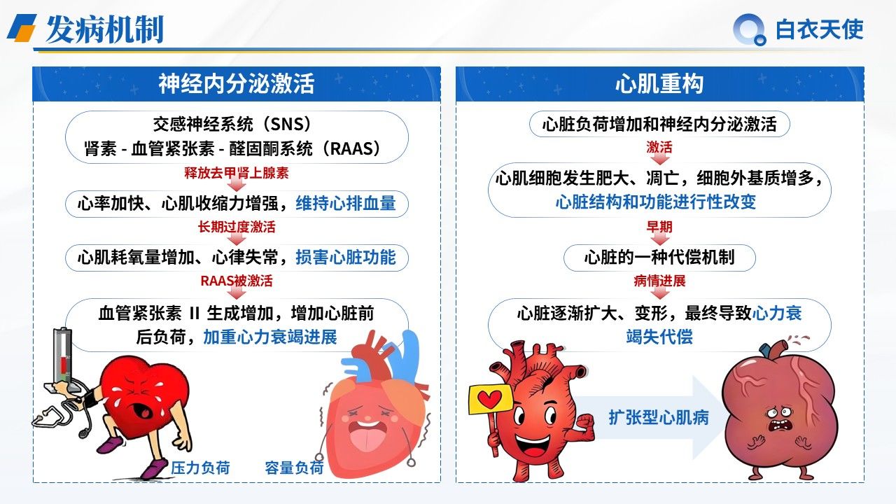24-心力衰竭健康宣教第5页预览