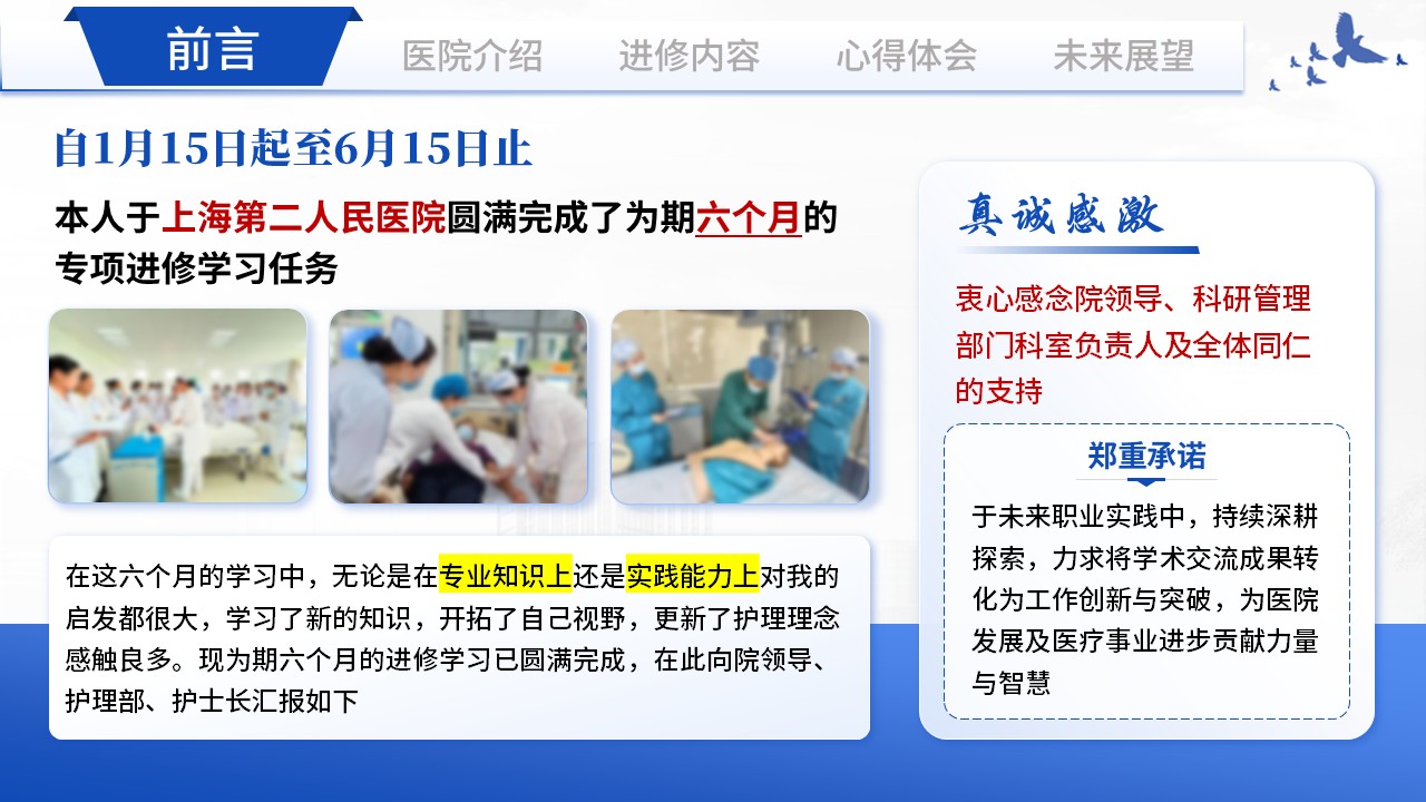 402期-进修汇报-专科护士外出进修汇报第2页预览