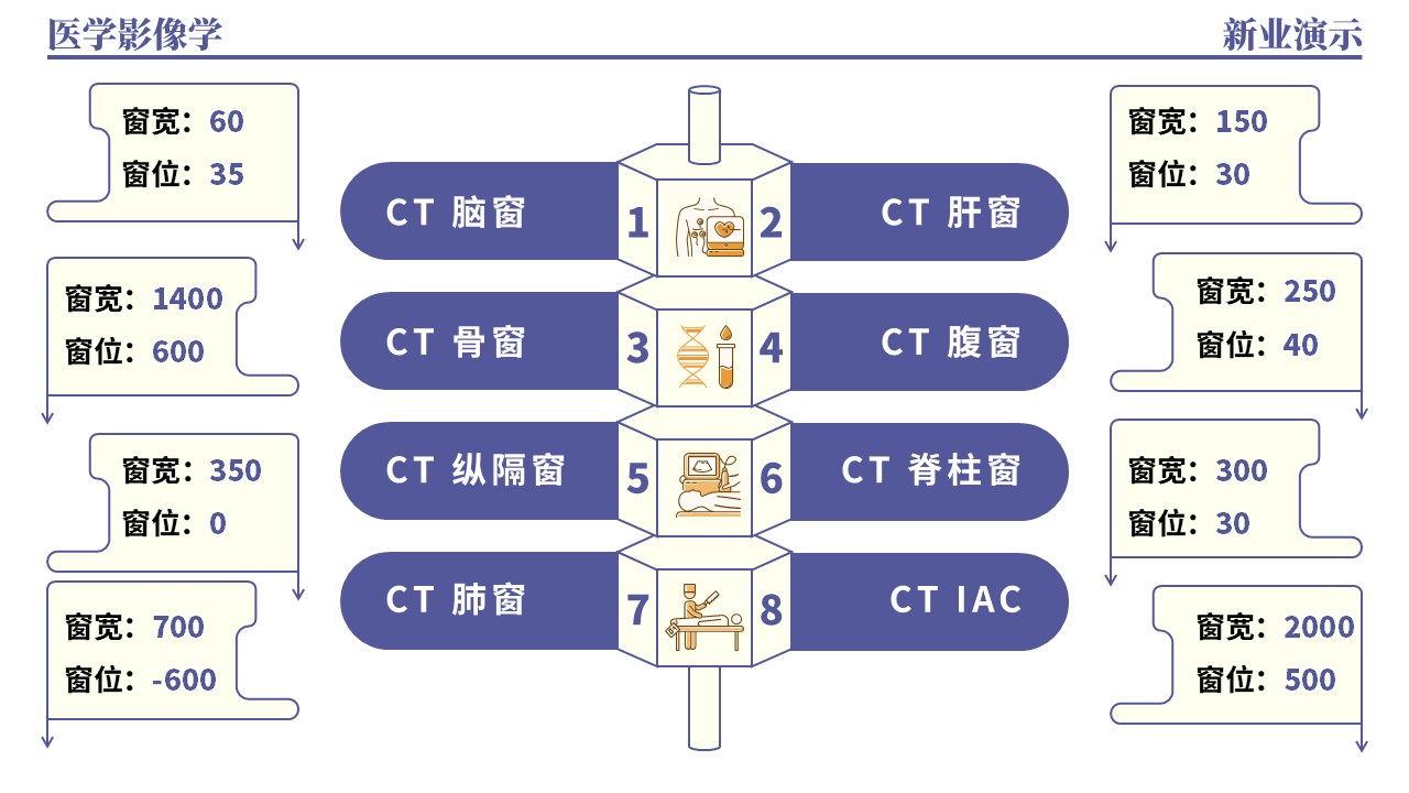 36-1《医学影像学架构图》（蓝色）第7页预览图