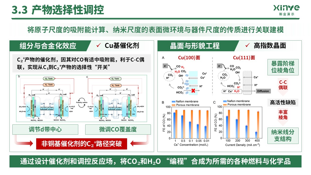 副教授职级评选(二氧化碳电催化转化)第12页预览图