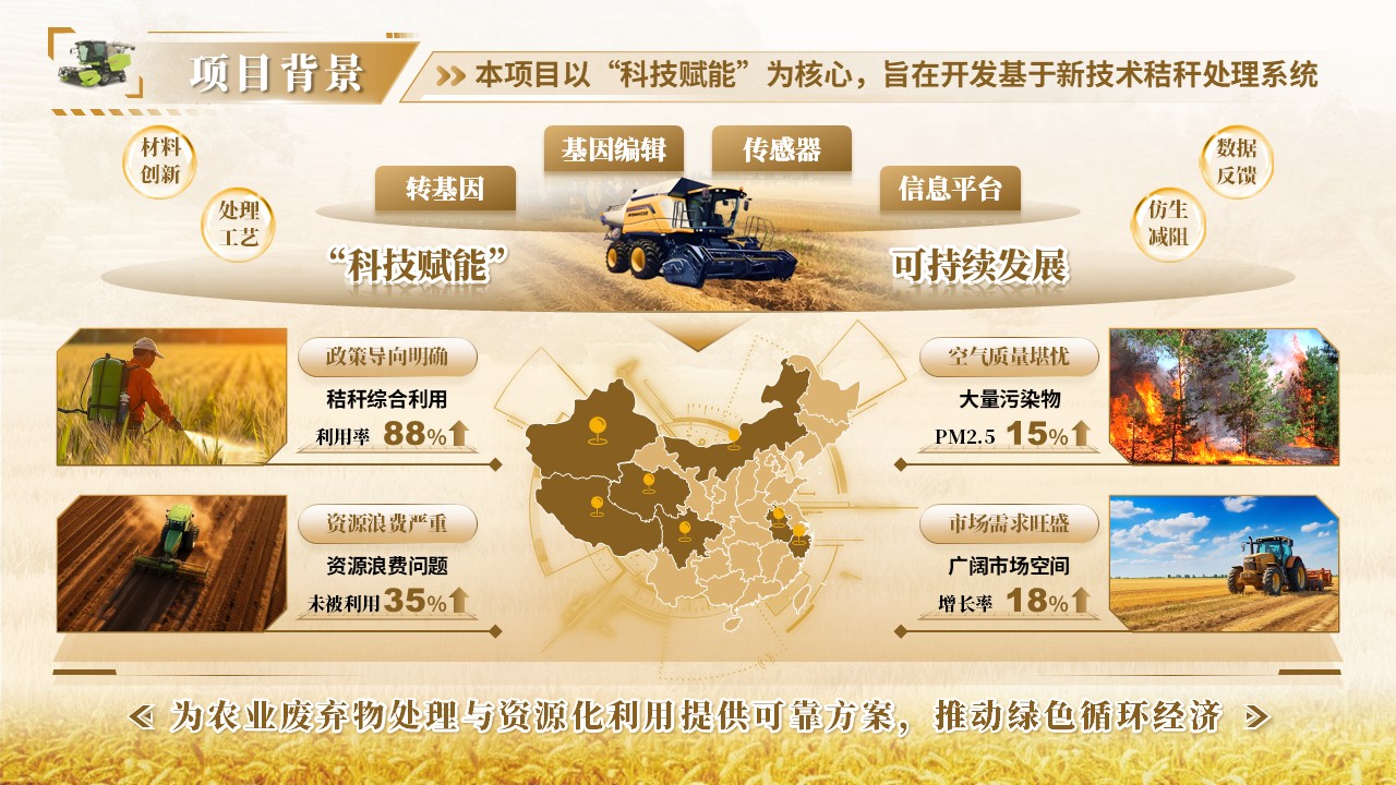 《“秸”能环保，“秆”为人先》大创赛第3页预览图