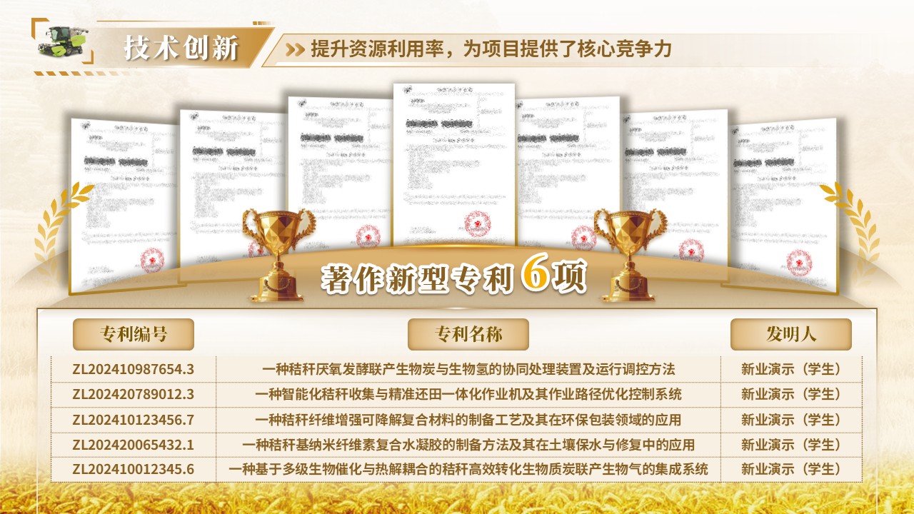 《“秸”能环保，“秆”为人先》大创赛第4页预览图
